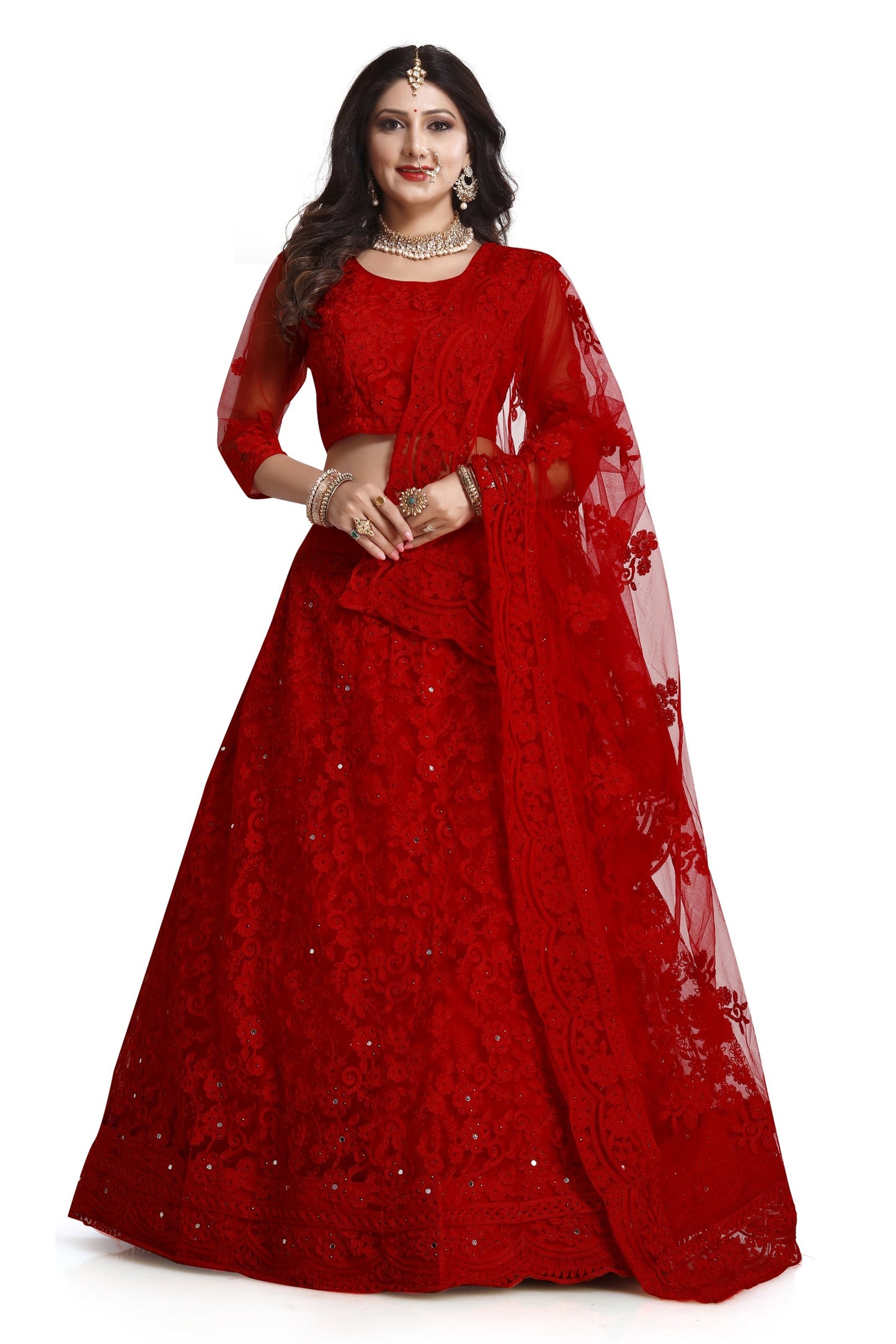 Net Red Stone Embellished Panelled Style Lehenga