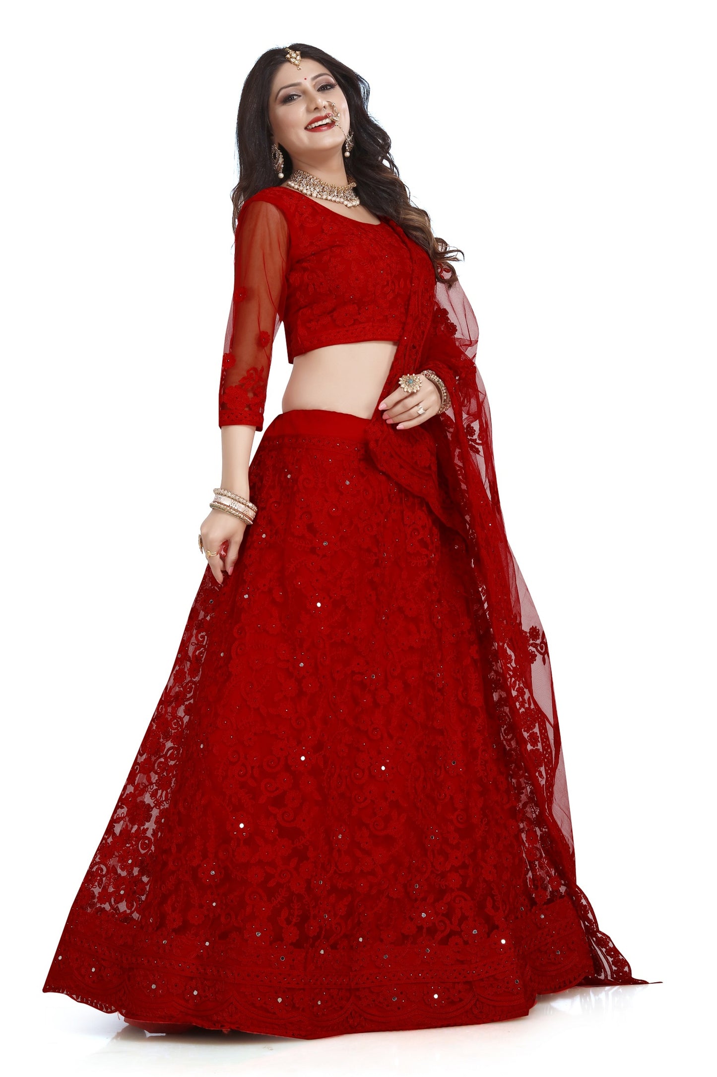 Net Red Stone Embellished Panelled Style Lehenga