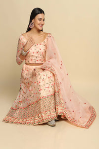 Rama-Blue & Peach Net Lehenga Choli with Meena Vine Pattern Thread Embroidery and Dupatta