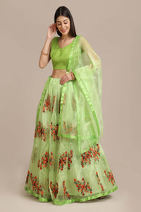 Embroidered Lehenga Choli Set with Dupatta