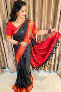 Best New Color Pure Kanjivaram Silk Saree with Contrast Border