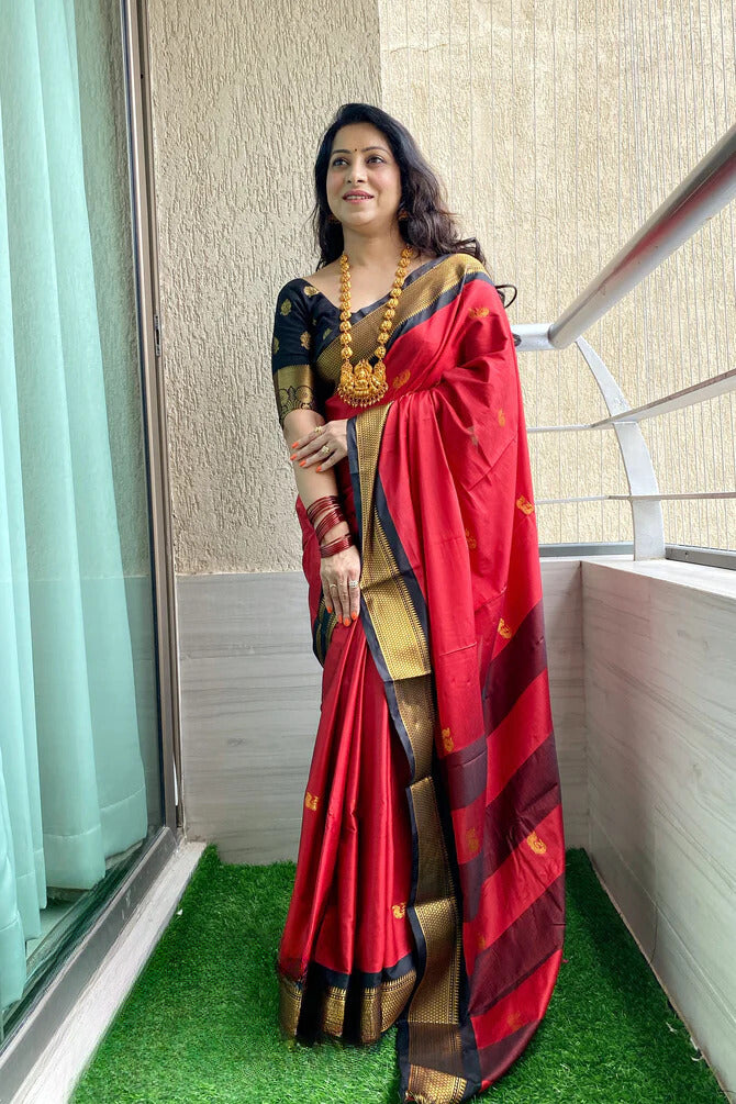 Pure Kanjivaram Silk Saree With Contrast Border